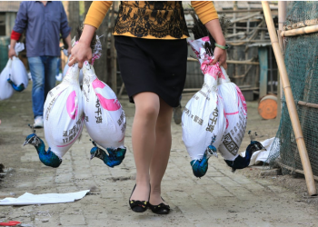 China’s secretive wildlife farm