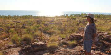 trying to translate bird song