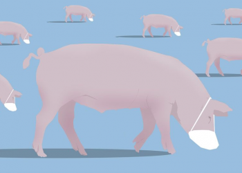 Coronavirus at Smithfield pork plant: The untold story of America's biggest outbreak