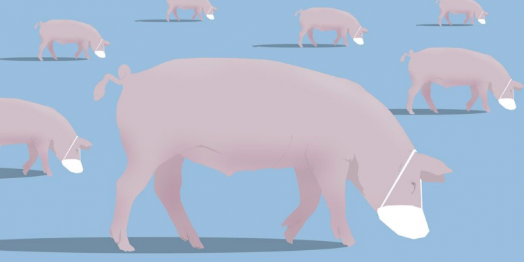 Coronavirus at Smithfield pork plant: The untold story of America's biggest outbreak