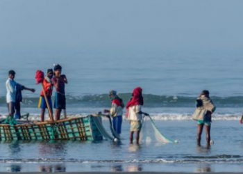 Bangladesh overfishing: Almost all species pushed to brink