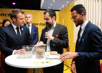 Insect protein for animal feed