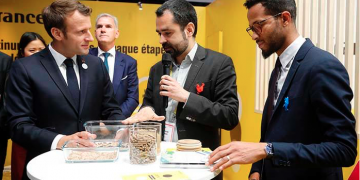 Insect protein for animal feed