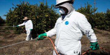 Agricultural laborers must fight food crisis