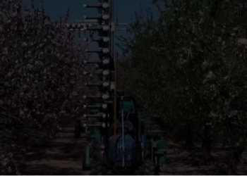 With bees on decline, mechanical pollination may be solution