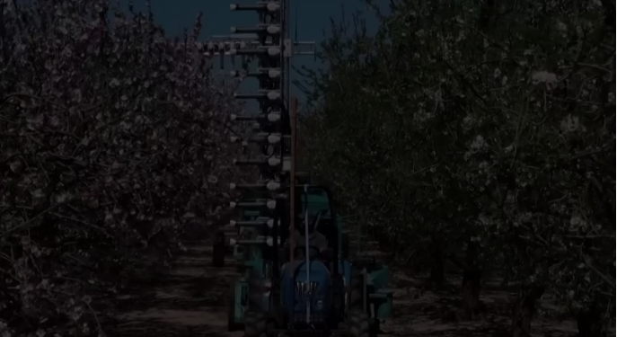 With bees on decline, mechanical pollination may be solution