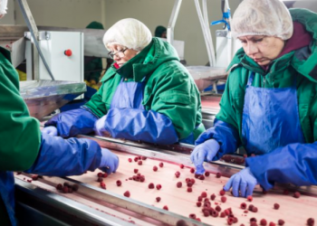 “In the fields and in many food processing plants, labourers toil in close proximity, with no protective equipment,” a joint statement signed by 30 organisations said [SHUTTERSTOCK]