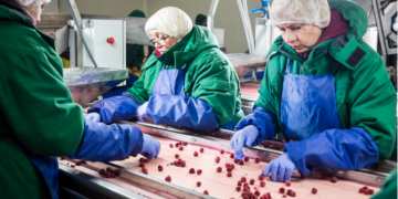 “In the fields and in many food processing plants, labourers toil in close proximity, with no protective equipment,” a joint statement signed by 30 organisations said [SHUTTERSTOCK]