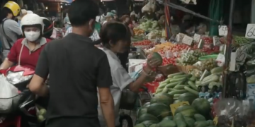 ‘Another Wuhan in the making’?: Undercover in a Thailand market selling live animals