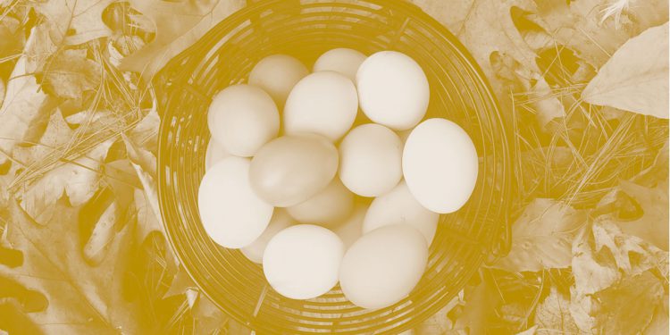 Basket of eggs