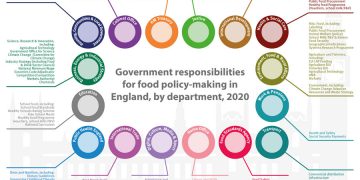 Government responsibility for food handled by sixteen departments
