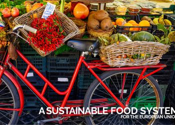 European Commission Report on Sustainable Food