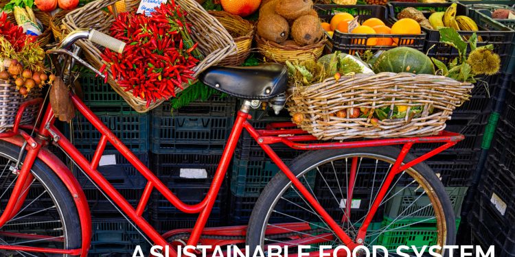 European Commission Report on Sustainable Food