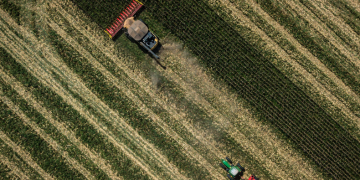 Pic: Dado Galdieri/Bloomberg