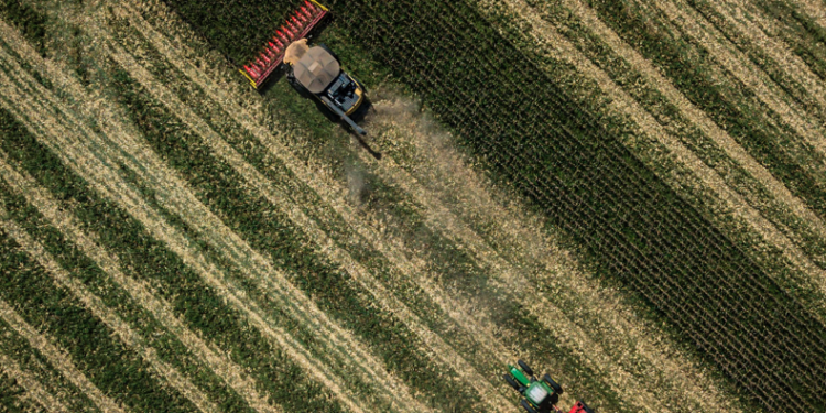 Pic: Dado Galdieri/Bloomberg