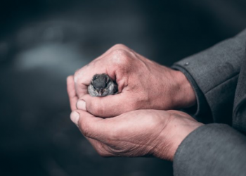 U.S. Agribusiness Takes Aim at Global Food Policy Reform