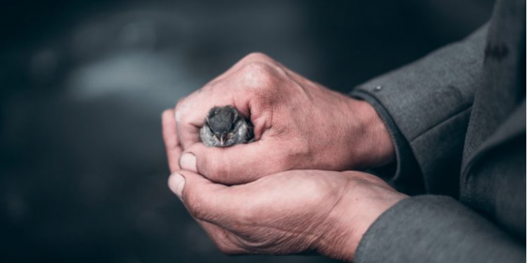 U.S. Agribusiness Takes Aim at Global Food Policy Reform