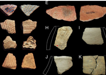 Examples of potsherds analysed Kate Grillo
