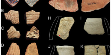 Examples of potsherds analysed Kate Grillo
