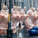 MPs urge UK ban on chlorinated chicken and hormone-fed beef