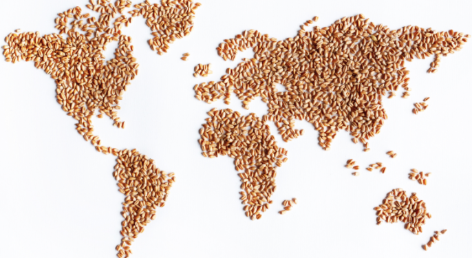 World poised to harvest largest wheat crop ever in 2020-21