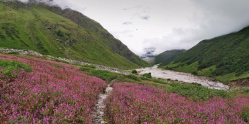 Interspecies social distancing — we need to give nature some space to save biodiversity