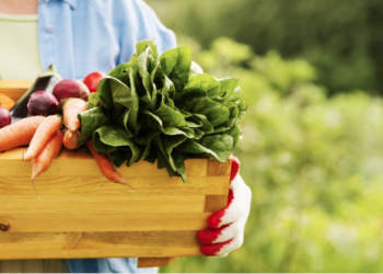 New EU food policy to triple amount of agricultural land farmed organically by 2030