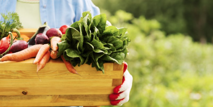 New EU food policy to triple amount of agricultural land farmed organically by 2030