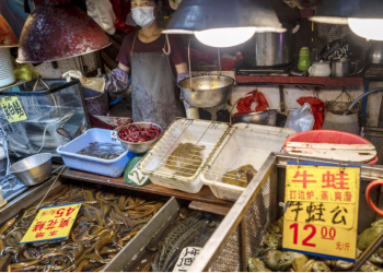 Curbing zoonotic diseases spread in wet markets