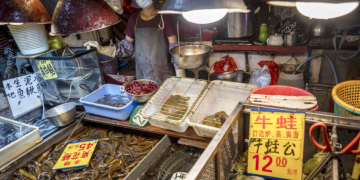 Curbing zoonotic diseases spread in wet markets