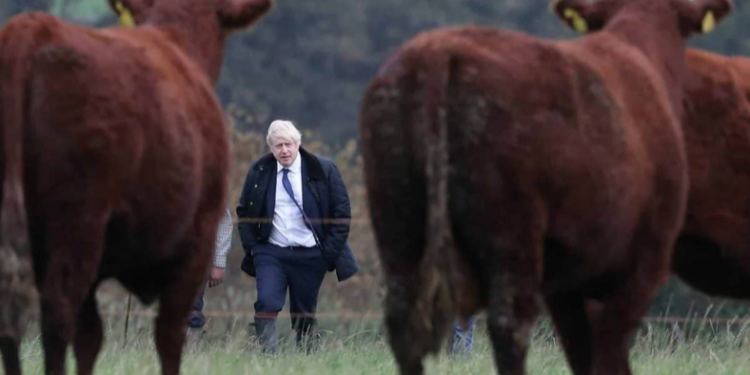 Fears as food and environmental standards removed from Agriculture Bill