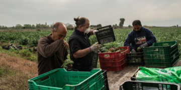 British food supplies depend on farmers in Spain, and around the world