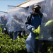 Pandemic strikes some US farms