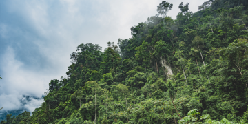 retailers boycott Amazon