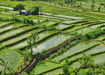 Zero-emissions farm machinery tops CO2 plan