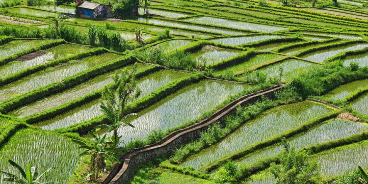 Zero-emissions farm machinery tops CO2 plan