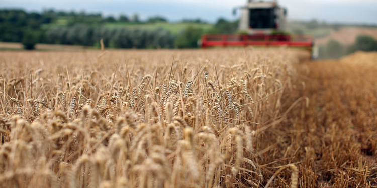 "A potential trade agreement with the US and chlorinated chicken has come back to haunt us."