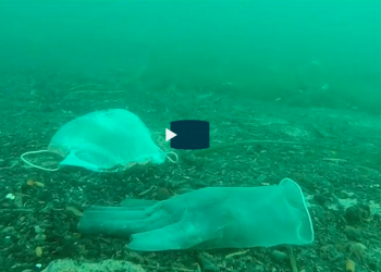Discarded masks and plastic gloves litter the Mediterranean seabed near Antibes, France - Copyright Laurent Lombard / Opération Mer Propre