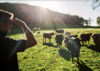 © Matthew Lloyd/Bloomberg