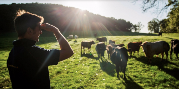 © Matthew Lloyd/Bloomberg