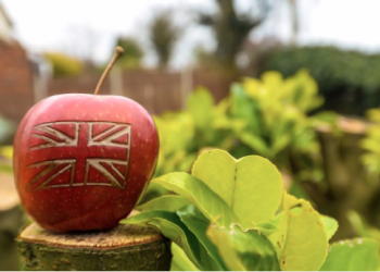 UK agrifood plan