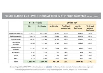 Job and livelihoods at risk in the food systems: United Nations