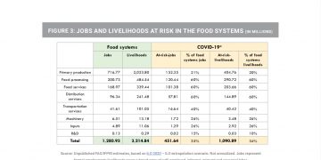 Job and livelihoods at risk in the food systems: United Nations