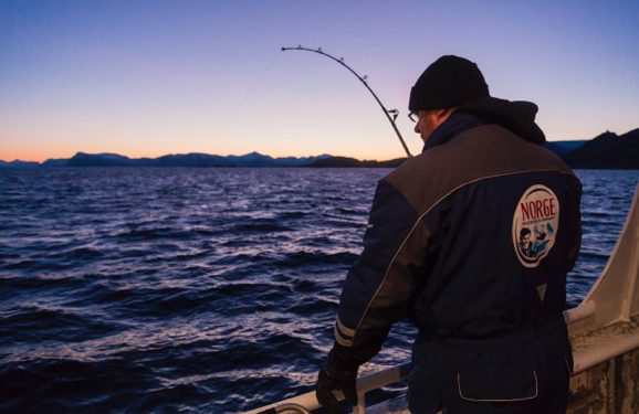 Pic: Norwegian Seafood Council (salmon)