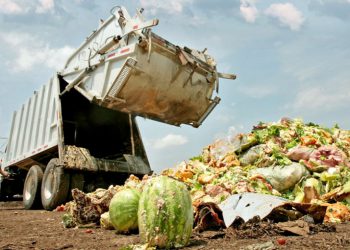 Accelerating reductions on food waste and loss for 2030