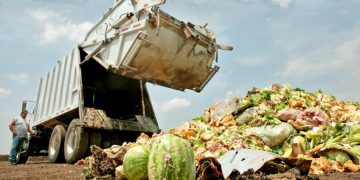Accelerating reductions on food waste and loss for 2030