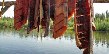 indigenous communities must be engaged