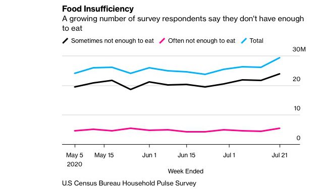 U.S Census Bureau Household Pulse Survey