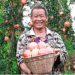 pomegranate farmer: digitise Chinese agriculture