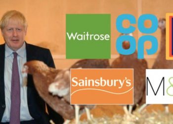 Supermarkets decline US’s chlorinated chicken